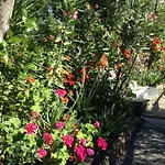 Apartment Dimitra