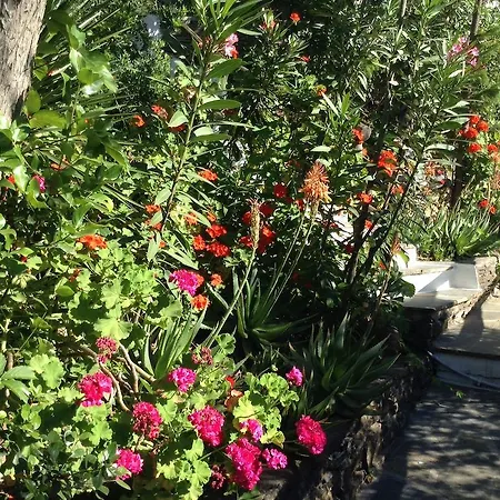 Apartment Dimitra